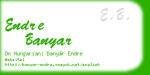 endre banyar business card